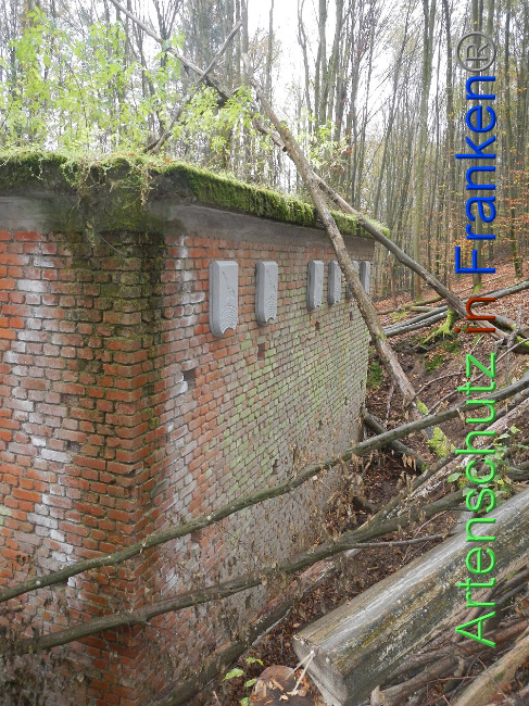 © Artenschutz in Franken® Bild zum Eintrag (1013339-160)