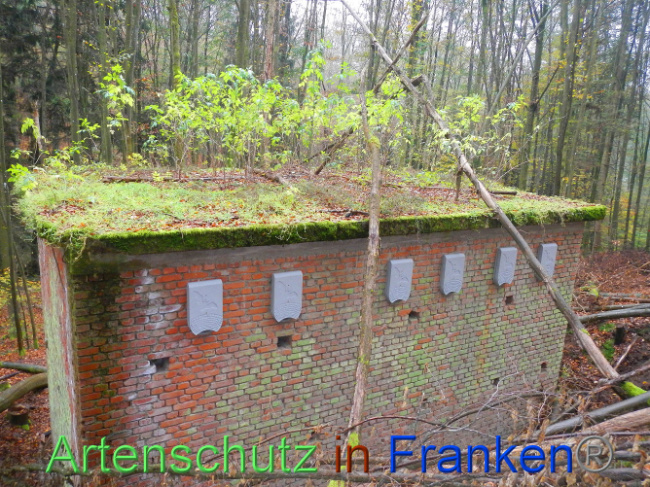 © Artenschutz in Franken® Bild zum Eintrag (1013340-160)