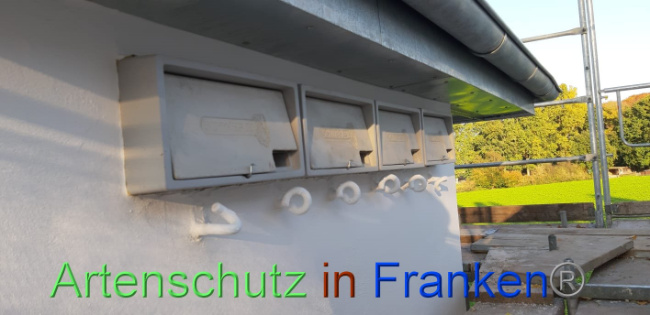 © Artenschutz in Franken® Bild zum Eintrag (1013370-160)