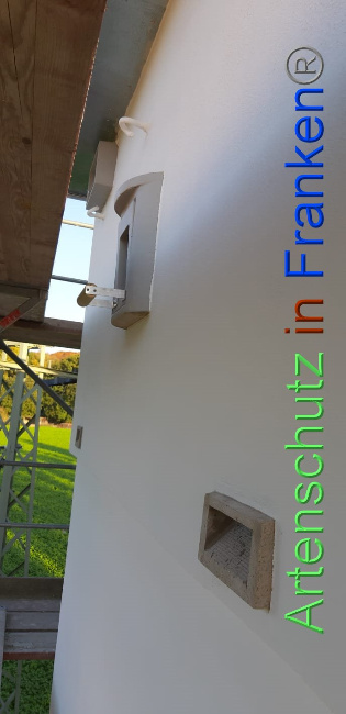© Artenschutz in Franken® Bild zum Eintrag (1013371-160)