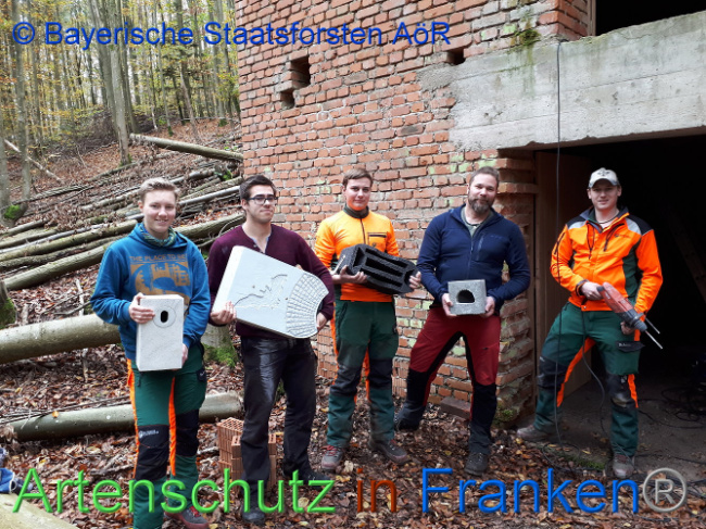 © Artenschutz in Franken® / Bayerische Staatsforsten Bild zum Eintrag (1013388-160)