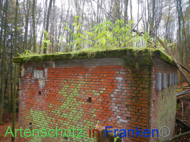 © Artenschutz in Franken® Bild zum Eintrag (1013392-160)