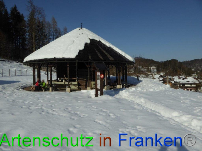 © Artenschutz in Franken® Bild zum Eintrag (1013495-160)
