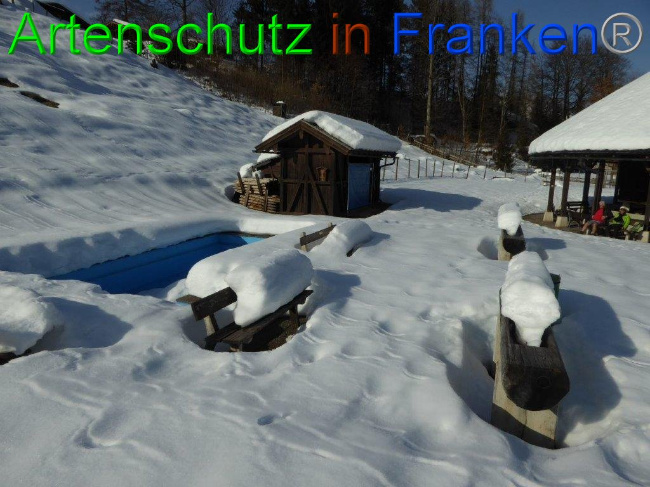 © Artenschutz in Franken® Bild zum Eintrag (1013496-160)