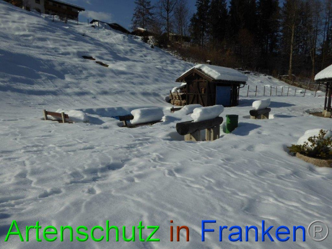 © Artenschutz in Franken® Bild zum Eintrag (1013497-160)