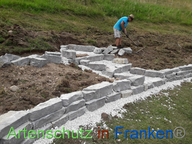 © Artenschutz in Franken® Bild zum Eintrag (1013538-160)