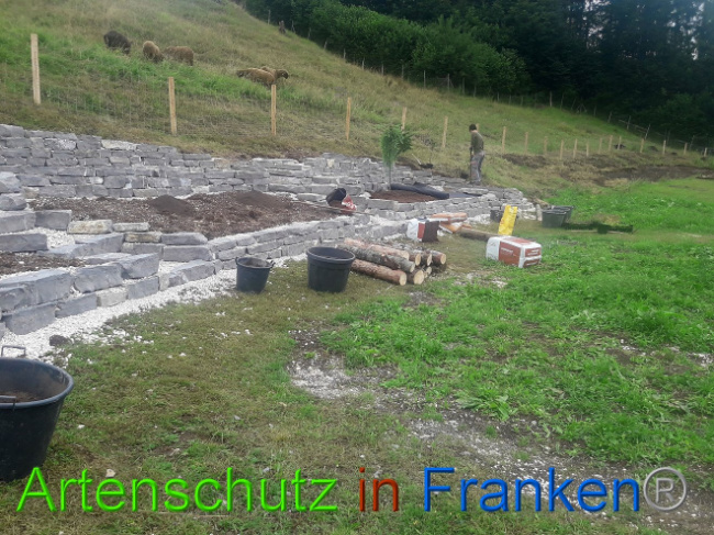 © Artenschutz in Franken® Bild zum Eintrag (1013549-160)