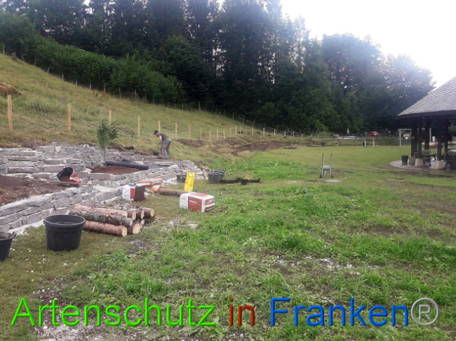 © Artenschutz in Franken® Bild zum Eintrag (1013551-160)