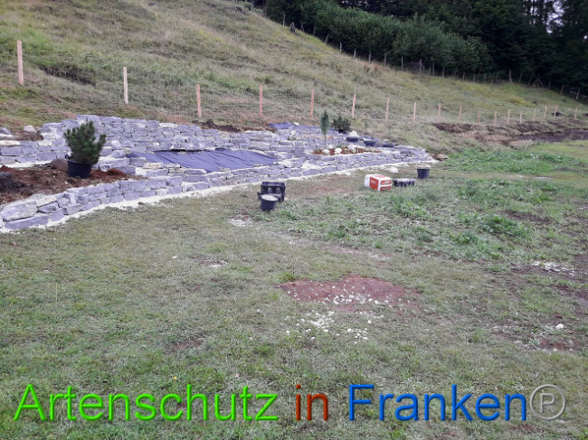 © Artenschutz in Franken® Bild zum Eintrag (1013552-160)