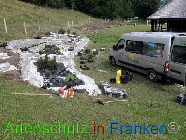 © Artenschutz in Franken® Bild zum Eintrag (1013555-160)