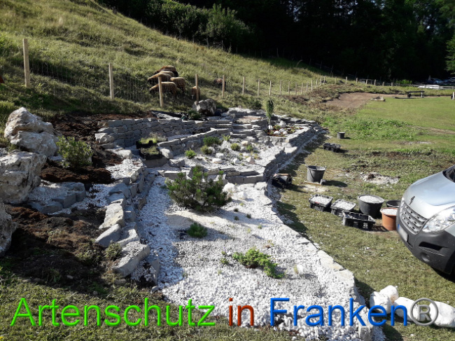 © Artenschutz in Franken® Bild zum Eintrag (1013556-160)