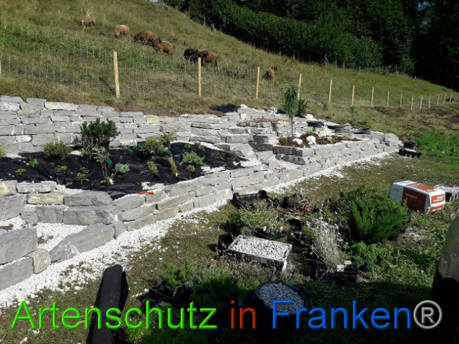 © Artenschutz in Franken® Bild zum Eintrag (1013557-160)