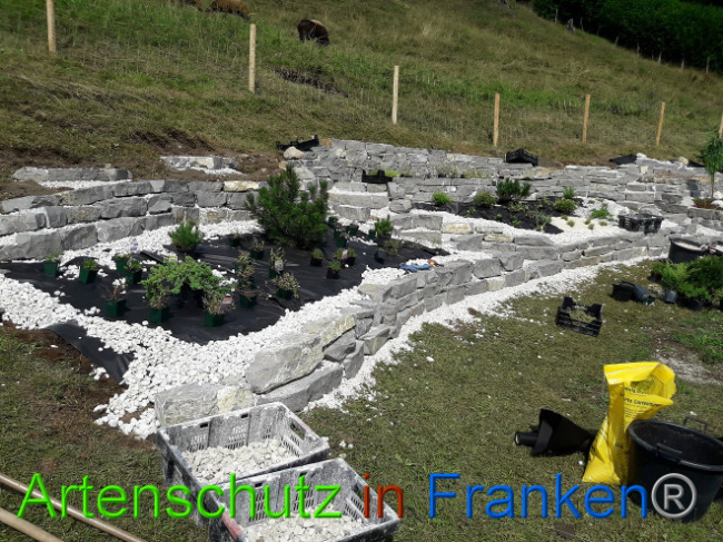 © Artenschutz in Franken® Bild zum Eintrag (1013559-160)