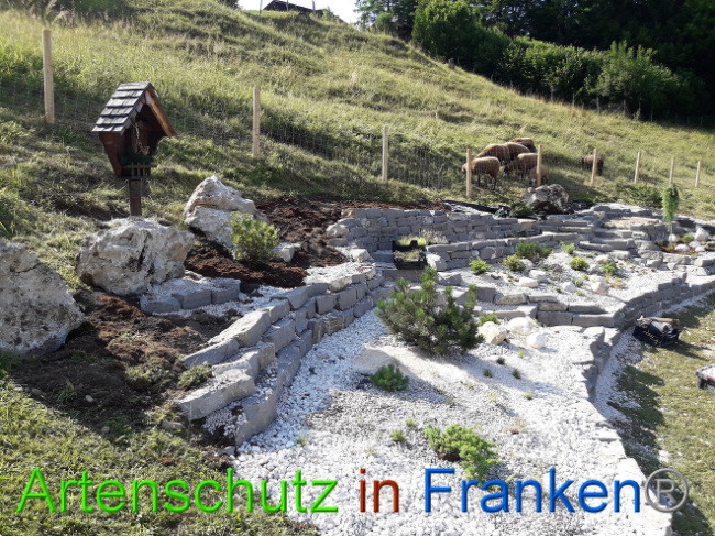 © Artenschutz in Franken® Bild zum Eintrag (1013560-160)
