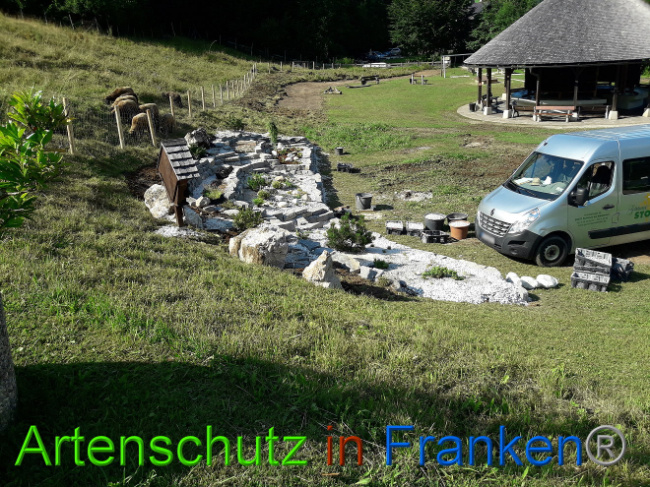 © Artenschutz in Franken® Bild zum Eintrag (1013561-160)