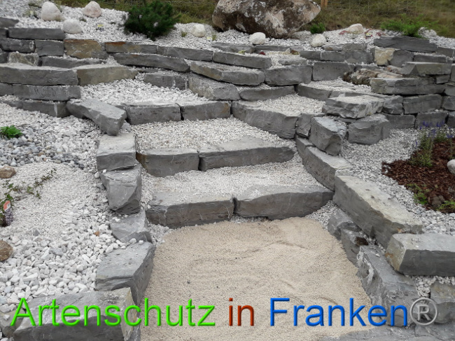 © Artenschutz in Franken® Bild zum Eintrag (1013565-160)