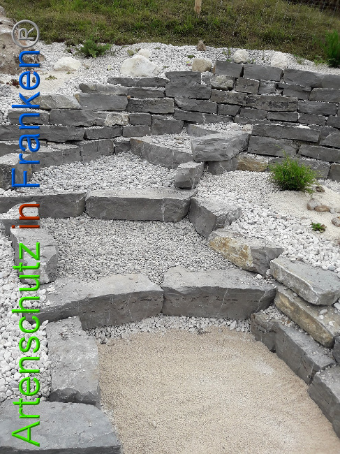 © Artenschutz in Franken® Bild zum Eintrag (1013566-160)