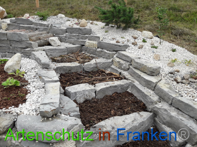 © Artenschutz in Franken® Bild zum Eintrag (1013567-160)