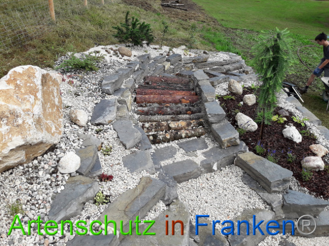 © Artenschutz in Franken® Bild zum Eintrag (1013569-160)