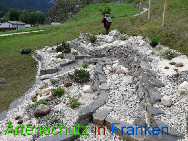 © Artenschutz in Franken® Bild zum Eintrag (1013570-160)