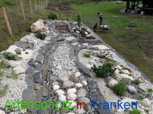 © Artenschutz in Franken® Bild zum Eintrag (1013571-160)