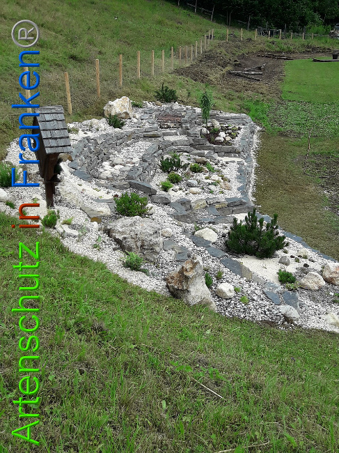© Artenschutz in Franken® Bild zum Eintrag (1013572-160)