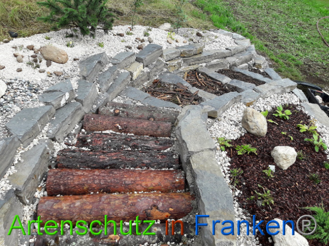 © Artenschutz in Franken® Bild zum Eintrag (1013574-160)