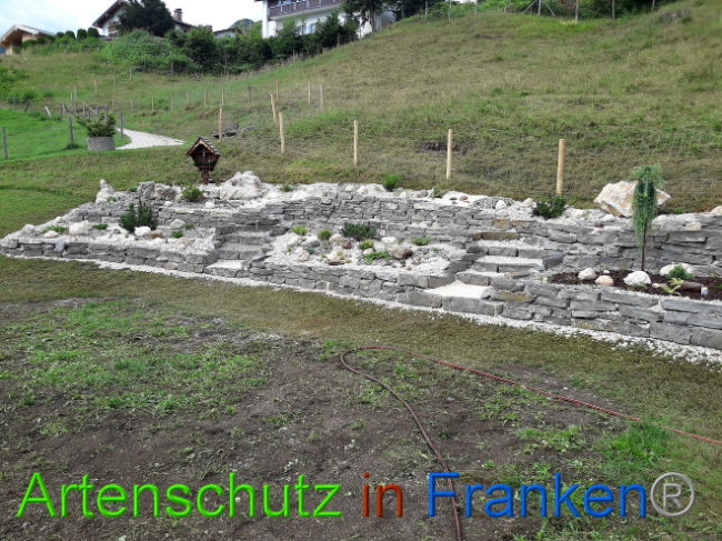 © Artenschutz in Franken® Bild zum Eintrag (1013576-160)