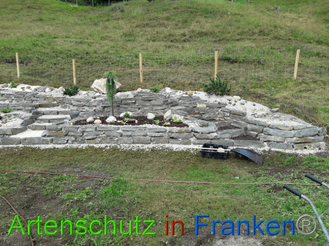 © Artenschutz in Franken® Bild zum Eintrag (1013577-160)