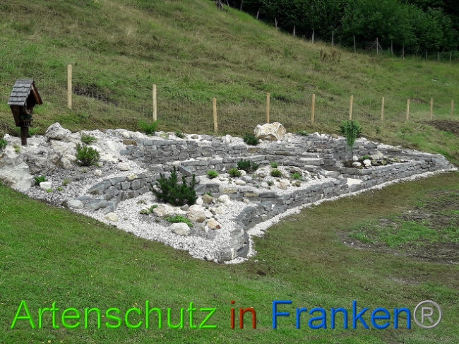 © Artenschutz in Franken® Bild zum Eintrag (1013580-160)