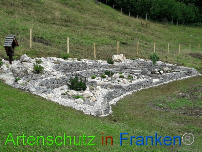 Bild zum Eintrag (1013580-160)