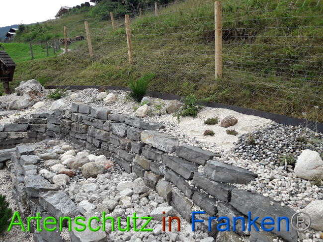 © Artenschutz in Franken® Bild zum Eintrag (1013582-160)