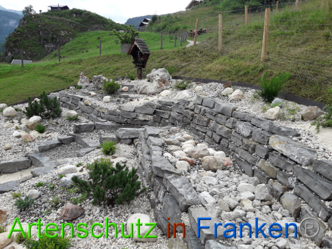 © Artenschutz in Franken® Bild zum Eintrag (1013583-160)