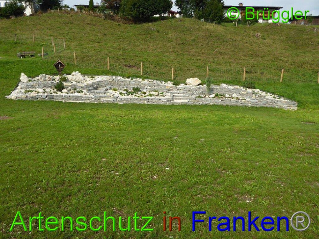 © Artenschutz in Franken® Bild zum Eintrag (1013585-160)