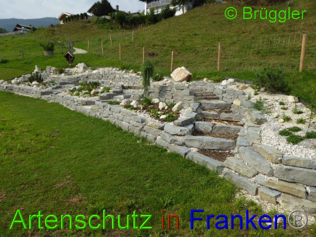 © Artenschutz in Franken® Bild zum Eintrag (1013586-160)
