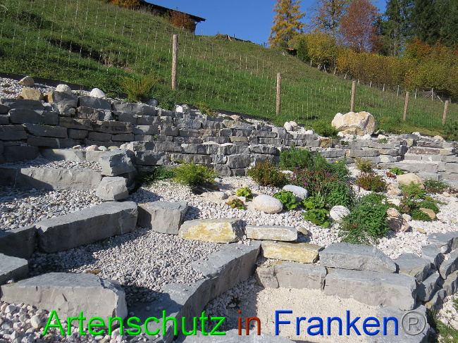 © Artenschutz in Franken® Bild zum Eintrag (1013613-160)