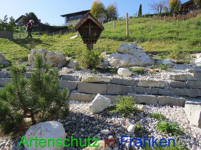 © Artenschutz in Franken® Bild zum Eintrag (1013614-160)