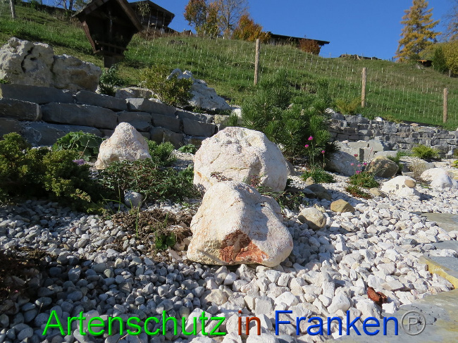 © Artenschutz in Franken® Bild zum Eintrag (1013615-160)