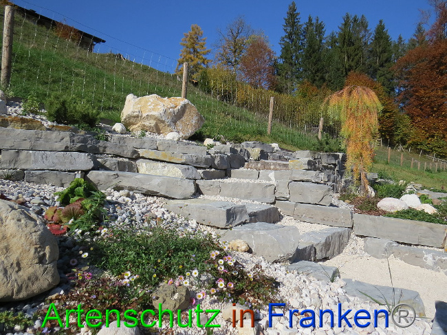 © Artenschutz in Franken® Bild zum Eintrag (1013618-160)