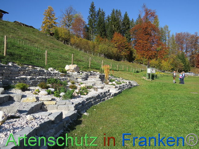 © Artenschutz in Franken® Bild zum Eintrag (1013623-160)