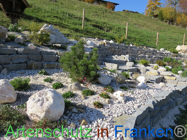 © Artenschutz in Franken® Bild zum Eintrag (1013624-160)