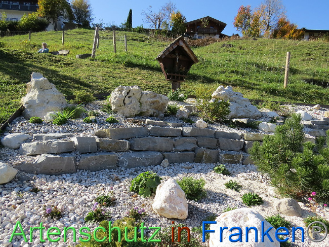 © Artenschutz in Franken® Bild zum Eintrag (1013625-160)