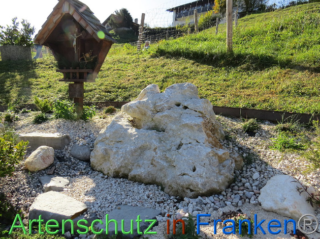 © Artenschutz in Franken® Bild zum Eintrag (1013626-160)