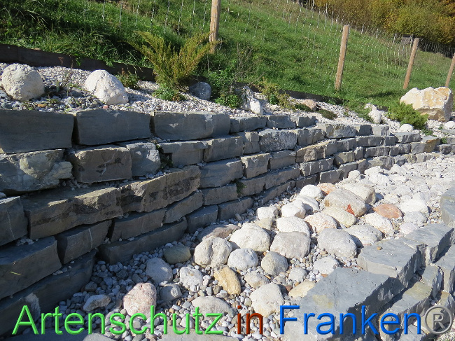 © Artenschutz in Franken® Bild zum Eintrag (1013628-160)