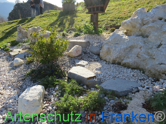 © Artenschutz in Franken® Bild zum Eintrag (1013630-160)
