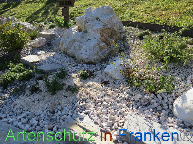© Artenschutz in Franken® Bild zum Eintrag (1013631-160)
