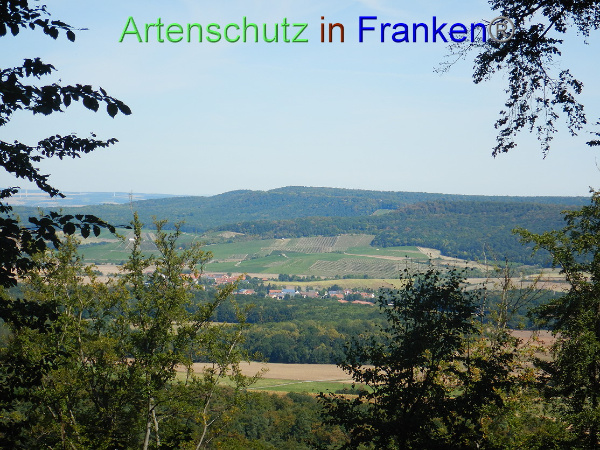 Bild zum Eintrag (101364-160)