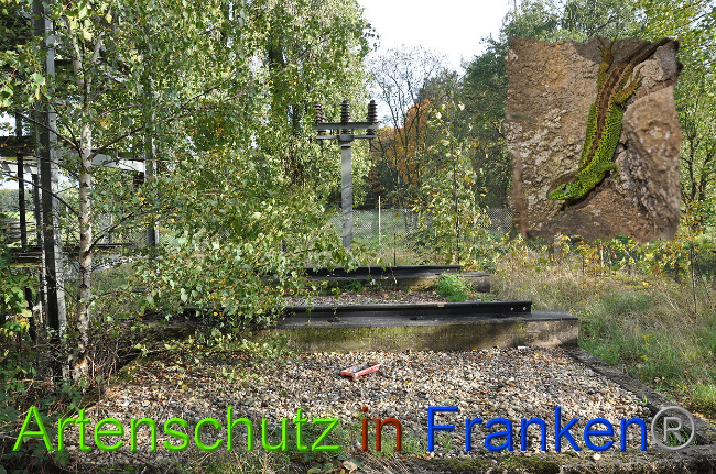 © Artenschutz in Franken® KLaus Sanwald Bild zum Eintrag (1013702-160)