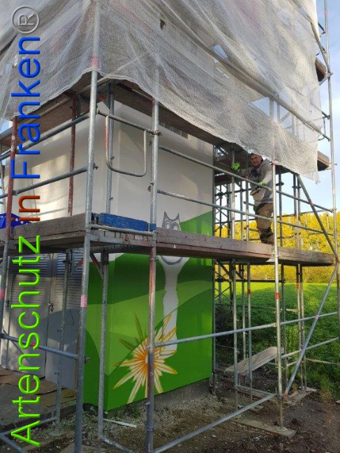 © Artenschutz in Franken® / M.Sonfeld Bild zum Eintrag (1013710-160)