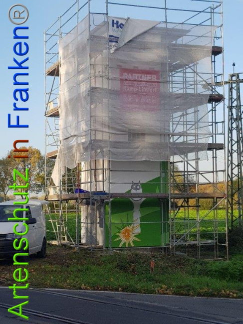 © Artenschutz in Franken® / M.Sonfeld Bild zum Eintrag (1013711-160)